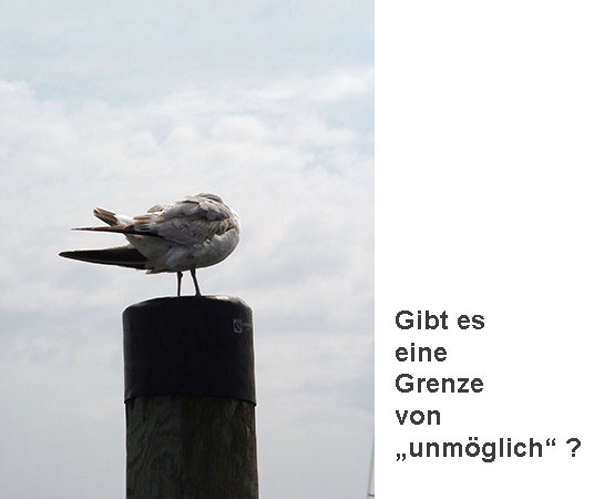 Möwe vor dem Flug mit Text: Gibt es eine Grenze von „unmöglich“?