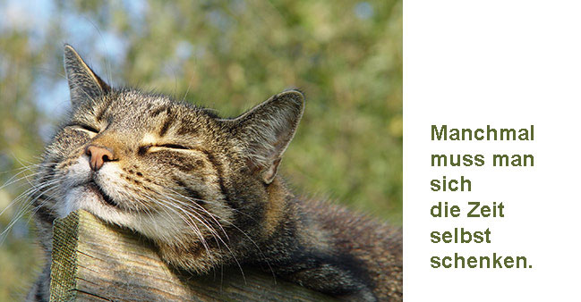 Behagliche Katze mit Text: Manchmal muss man sich die Zeit selbst schenken.