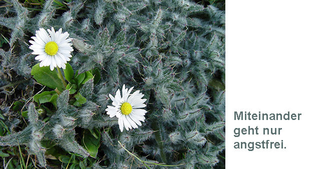 Zwei Blüten im Gestrüpp mit Text: Miteinander geht nur angstfrei.