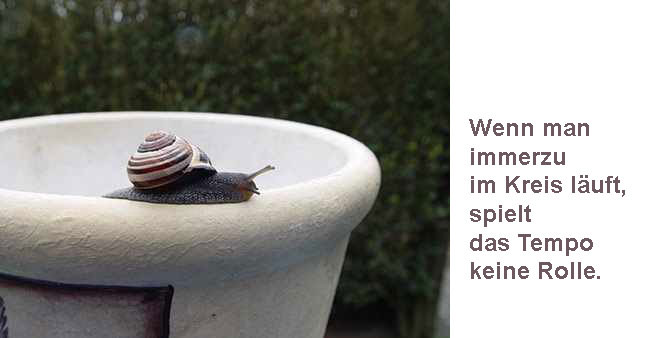Schnecke auf Blumentopf mit Text: Wenn man immerzu im Kreis läuft, spielt das Tempo keine Rolle.