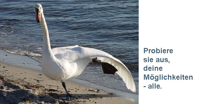 Tanzender Schwan mit Text: Probiere sie aus, deine Möglichkeiten - alle.